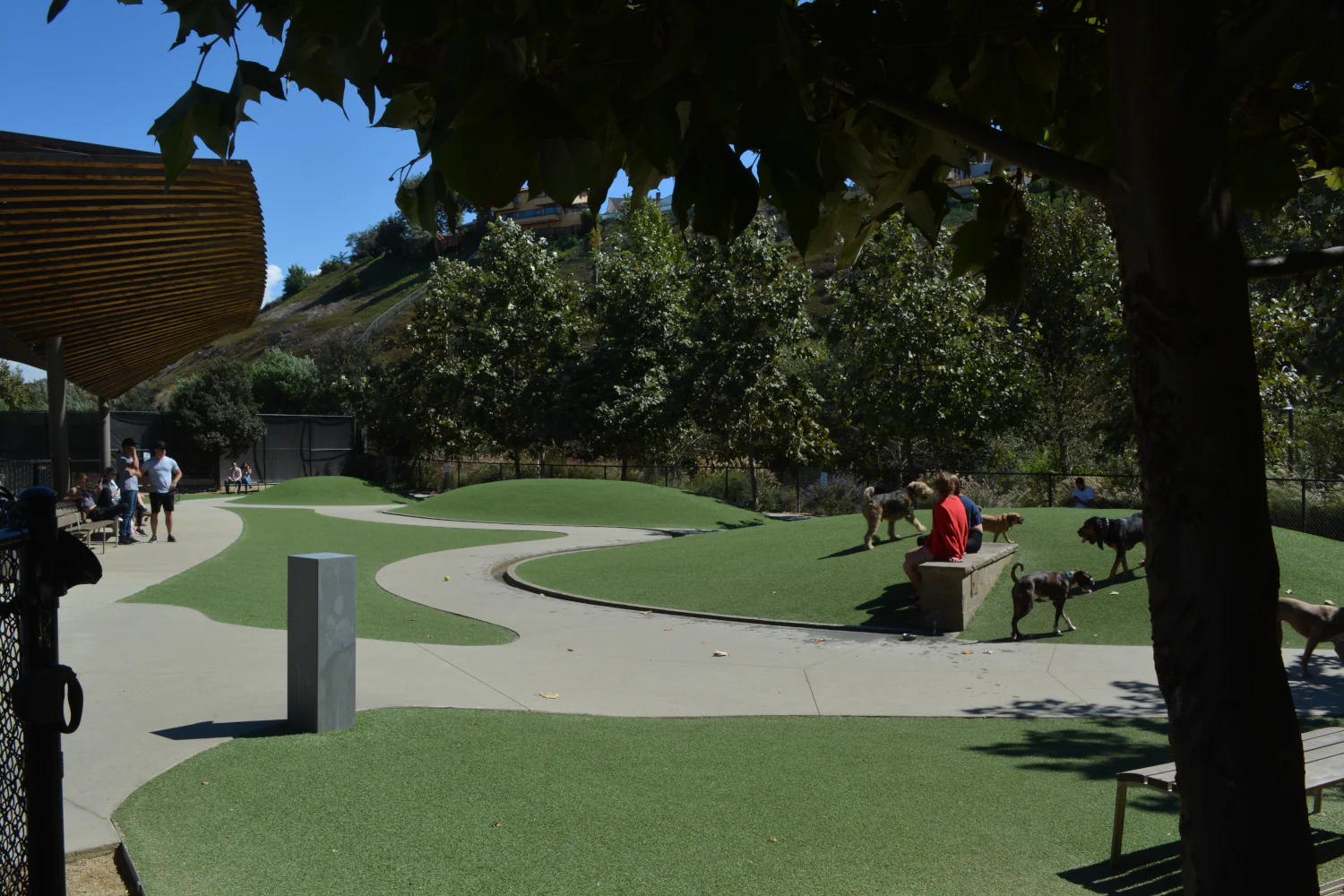 What to Consider Before You Spec a Dog Park Surface in Charlotte